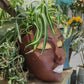 Plant Faces | Garden Decor | Home Decor | Garden Planter